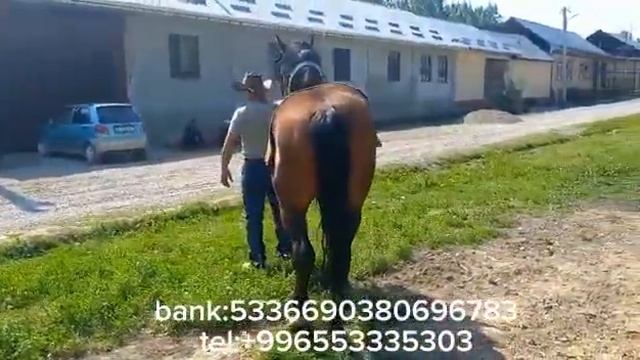 24 апреля 2023 г.