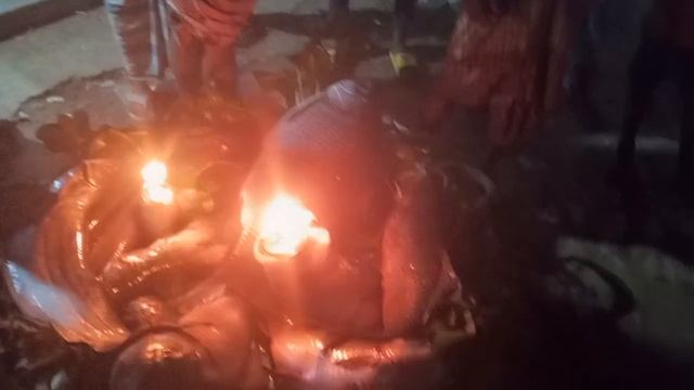 বাজারে বিশাল বড় কাতল মাছ | Very Big Fish Local Bazar.
