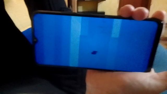 VID_20250213_182446.mp4