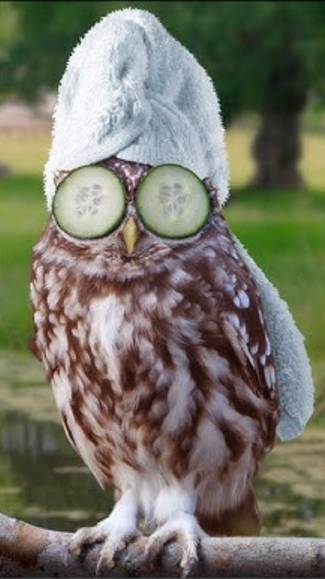 Стоит ли доверять специалистам телеграмм продвижения?