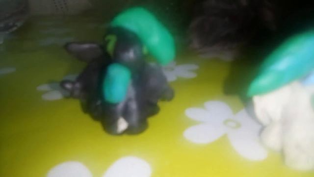 Злой зверь отправил Беззубика и Дневную Фурию