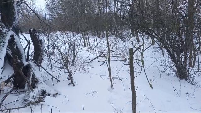 Ч.П. на КоПе!!!