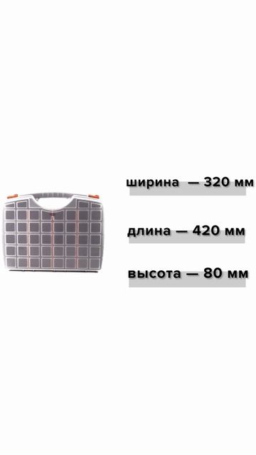 Органайзер 17" 425*330*85мм, двусторонний