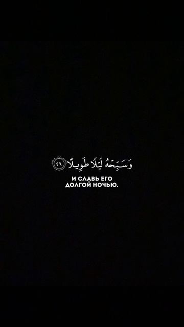 Сура 76 Аль-Инсан (23-28). Салах Баджи