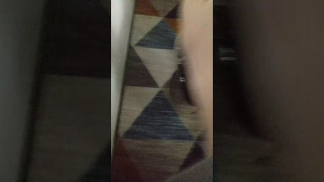 1000022102.mp4