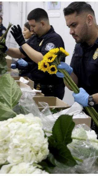 Miami airport receives 940 million cut flowers for Valentine's Day #valentinesday #miami #airport