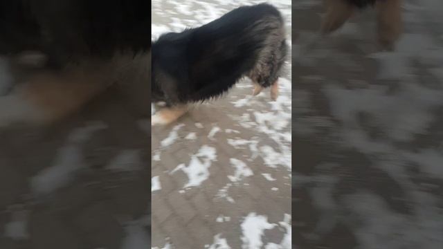 Не может сдержать радость.