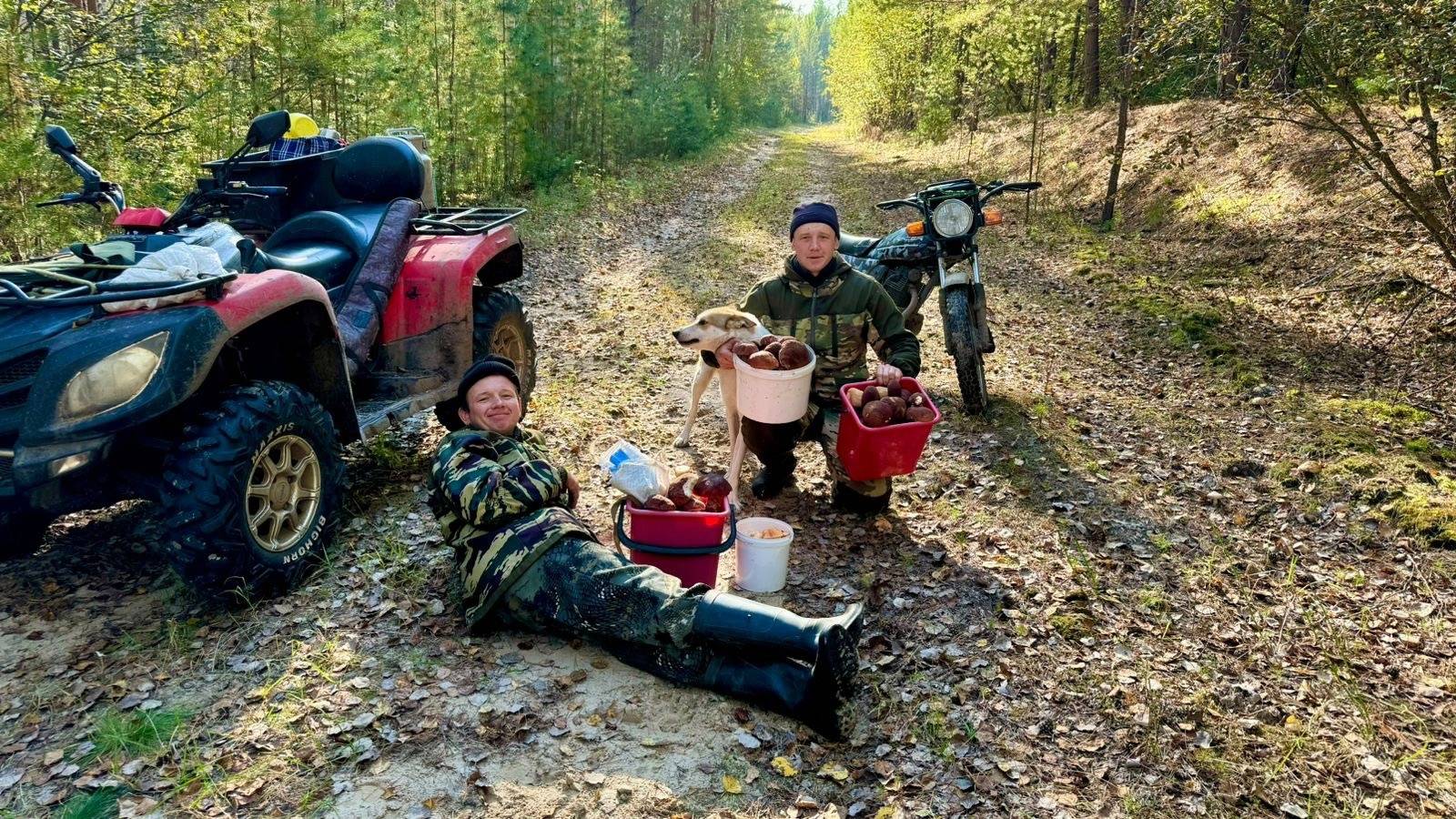 Поездка за клюквой. Грибов  нынче валом, хоть с телегой приезжай.