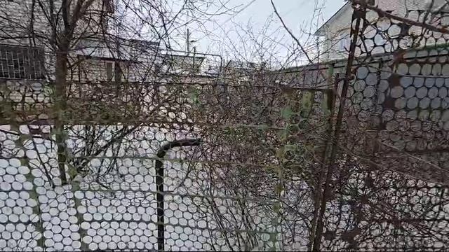 WhatsApp Video 2025-02-08 at 18.49.24