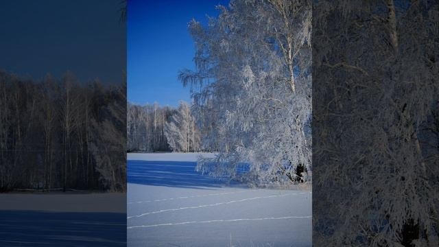 Зимняя тридцаточка