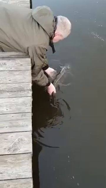 Велинка база отдыха и рыболовства