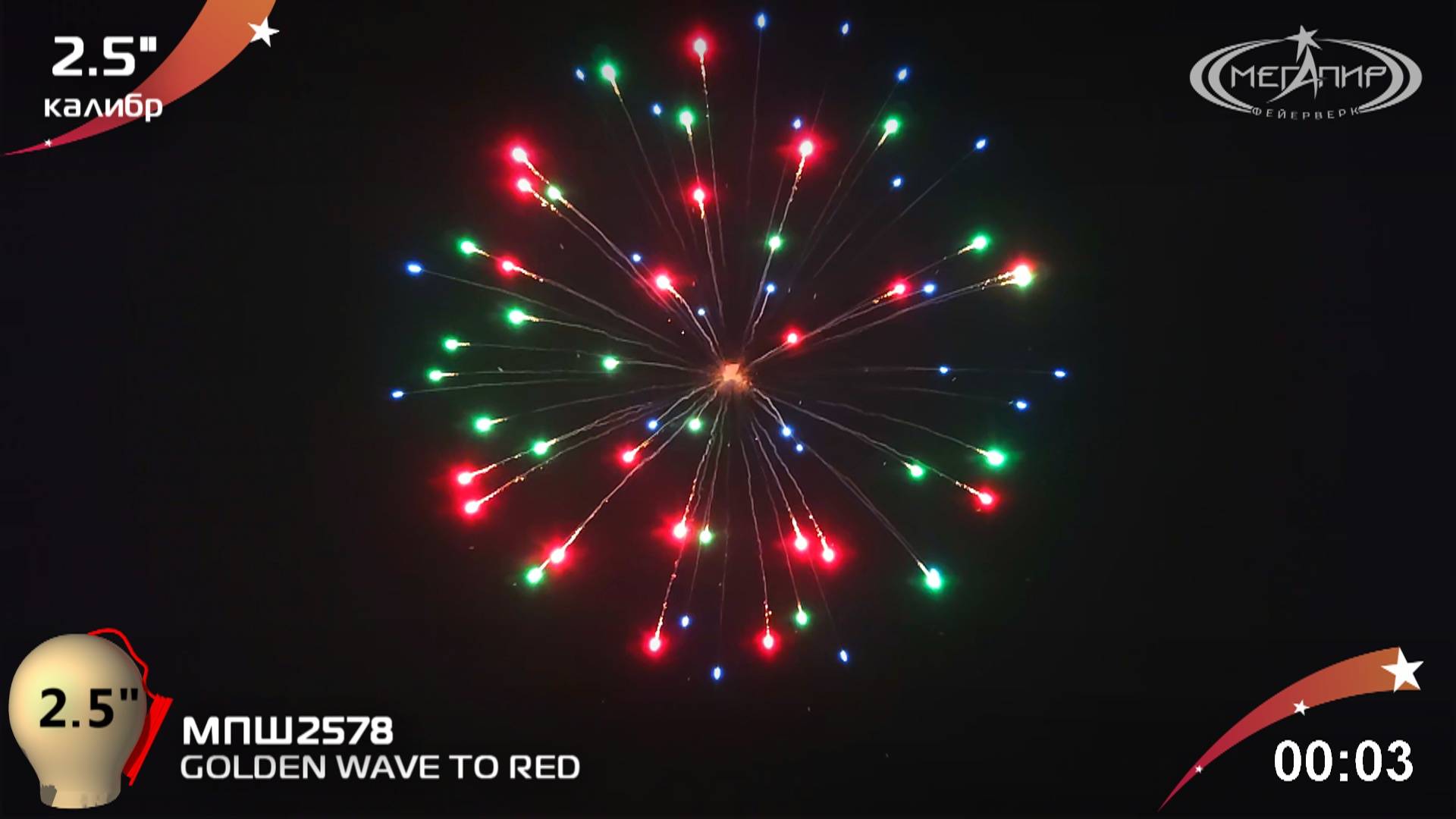 COLOR PEONY (VARIEGATED) МПШ25109