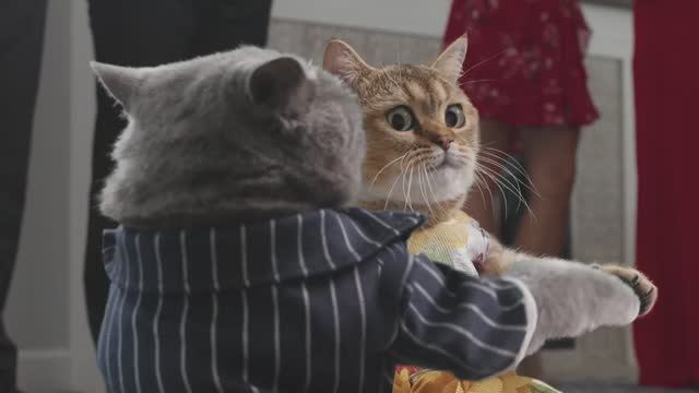 Romeou and Juliet