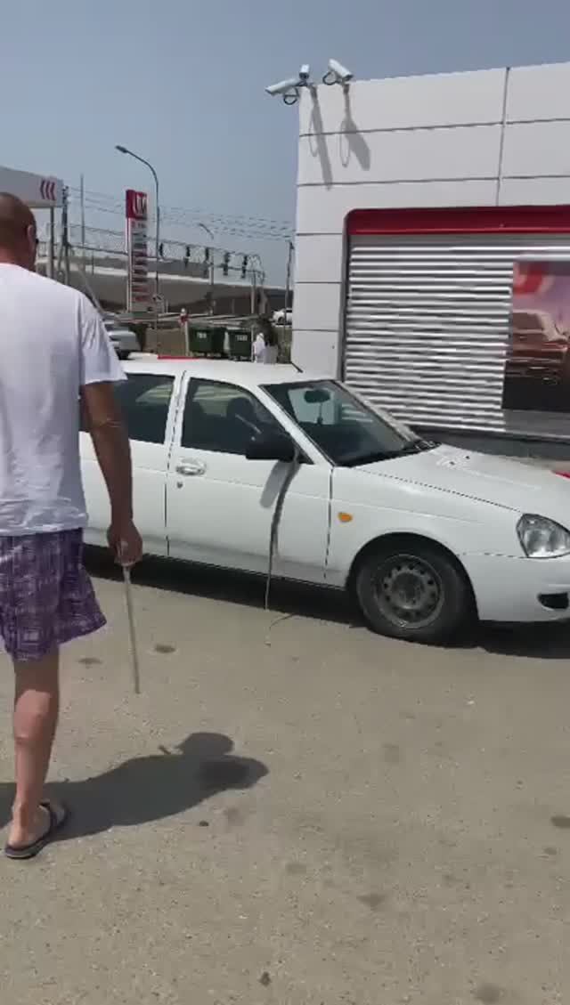 змея машину