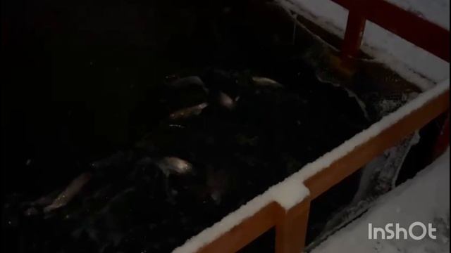 1000051705.mp4