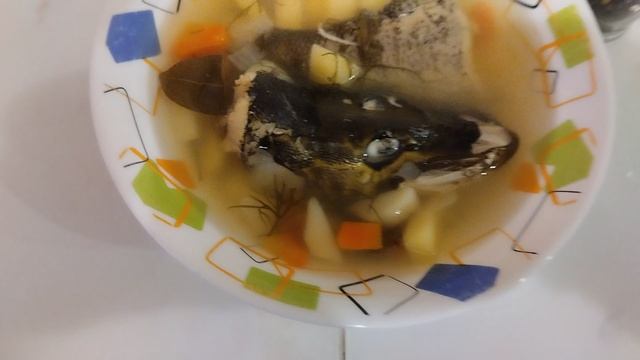 уха из щуки🤤