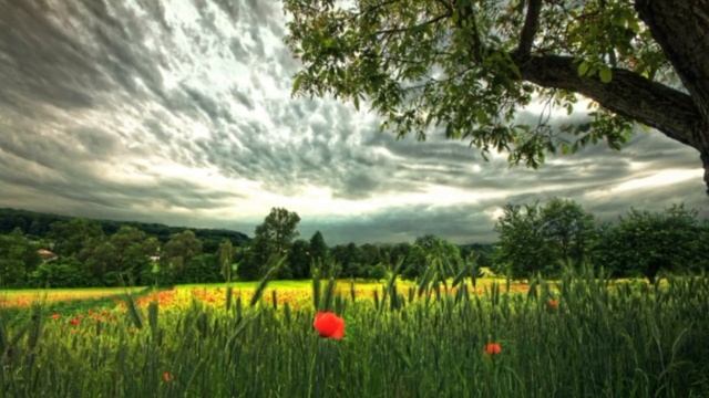 NOSTALGIA. НЕВЕРОЯТНАЯ МУЗЫКА. НОСТАЛЬГИЯ. MUSICA MUY HERMOSA. VERY BEAUTIFUL MUSIC