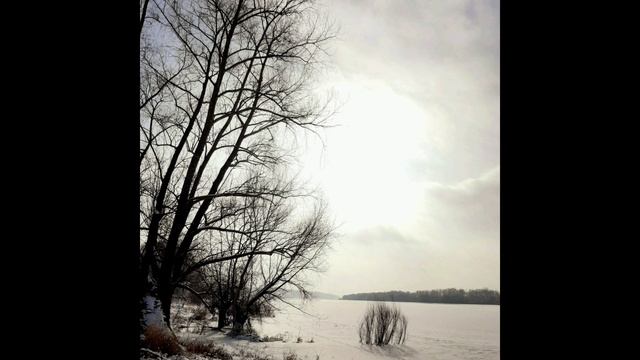 14-02-2025 Утро 14 февраля. Прогулка вдоль берега реки...