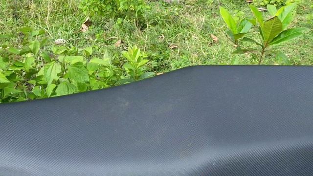 Euro Sports E 110 2021 Full Review.