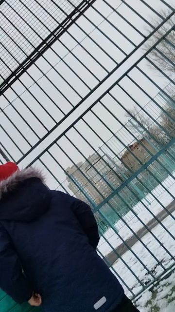 трусах зовут Артём анучин