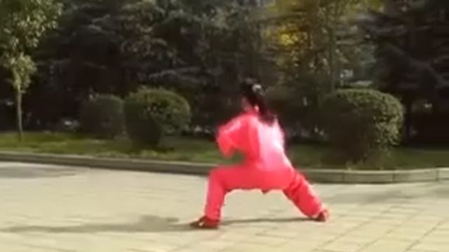 Yang Shi TAIJI Quan 42 practice performance @ a park in Shanghai !