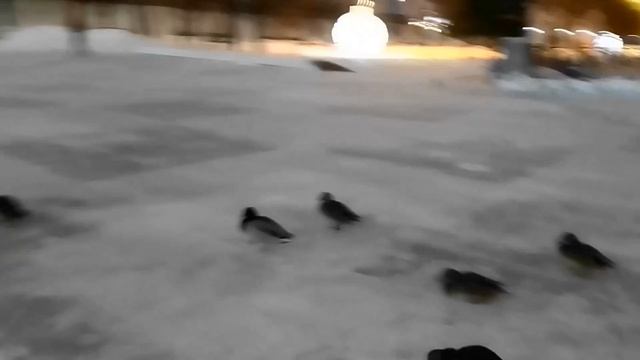 ВИДЕО отчёт 33 часа в Екатеринбурге