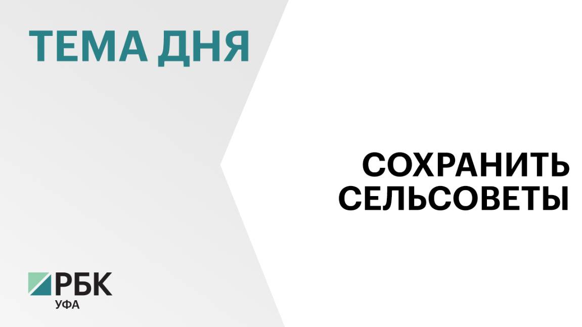 Депутаты Госсобрания предложили сохранить сельсоветы