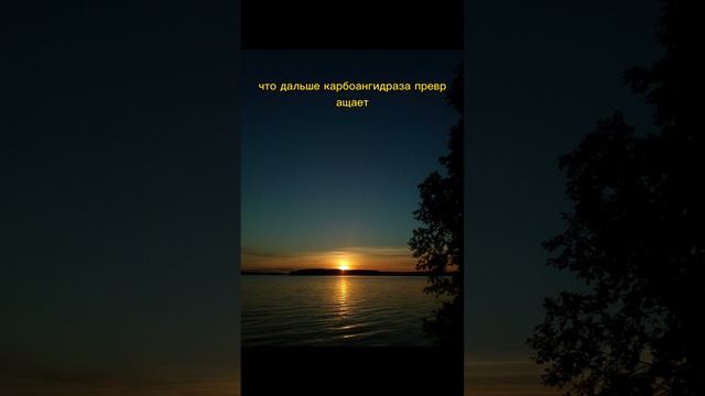 2023-04-04 АНИОННЫЙ БАЛАНС