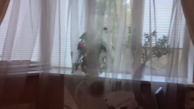 IMG 7587