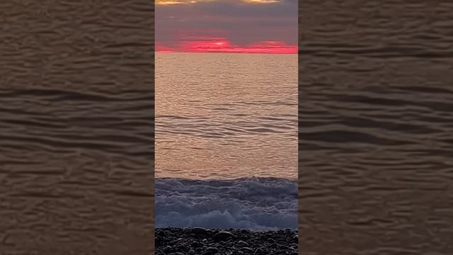 1000003564.mp4