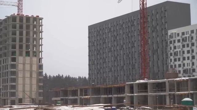 Тащите плов! Глава Мытищ ни в чём не виновата – завели дело на зама!