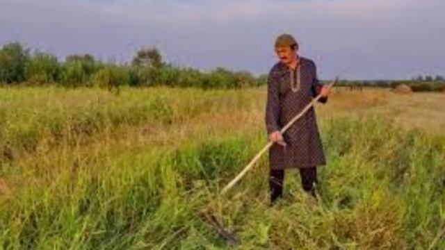 Косари на лугу