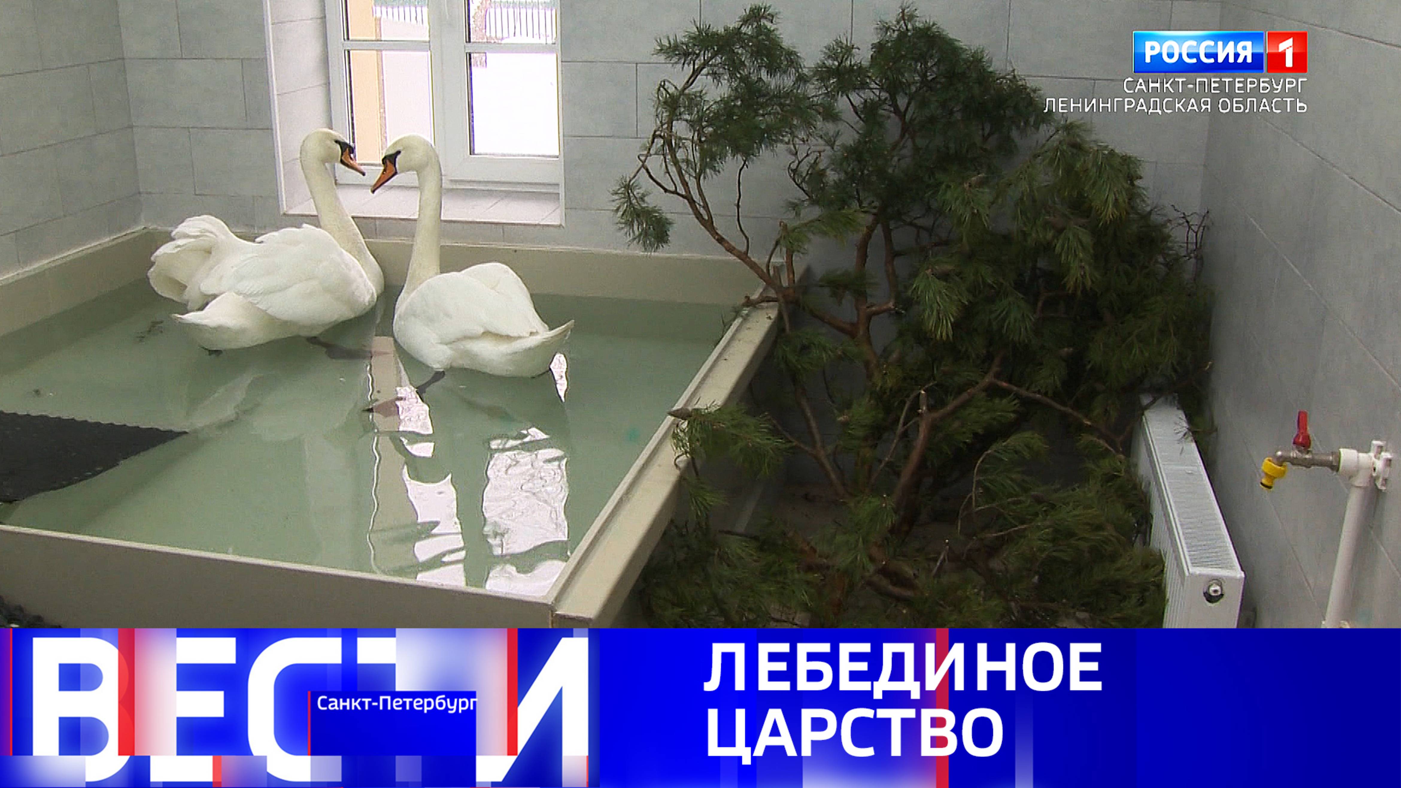 Вести Санкт-Петербург. Выпуск 09:30 от 14.02.2025