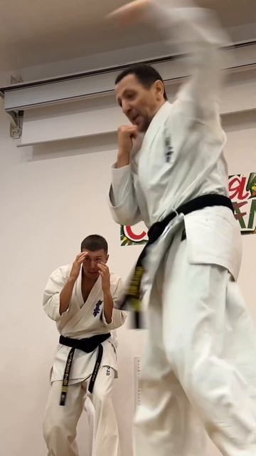 Кёкусин-Кик / Зимняя Школа ФКР-2025 / Уклон от джеба-5 / Сихан Станислав Винокуров (22)