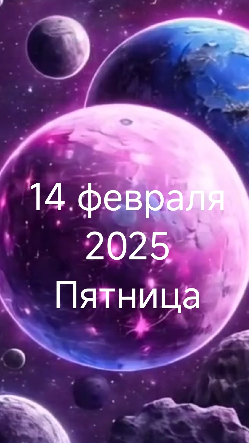 14 февраля 2025