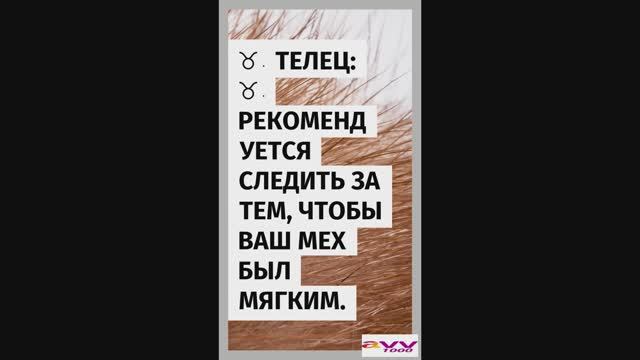 20250217 телец