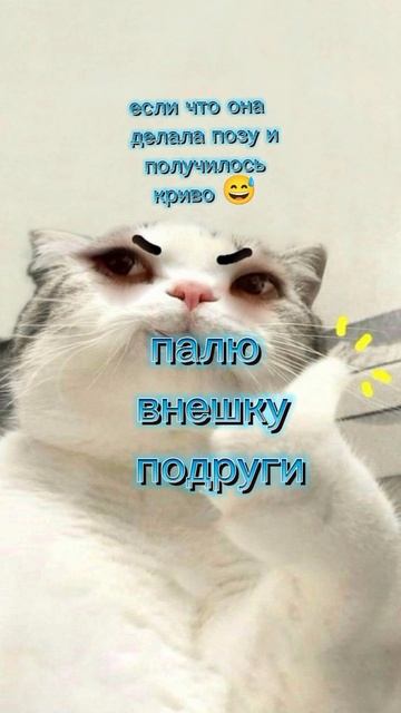 Внешка лп