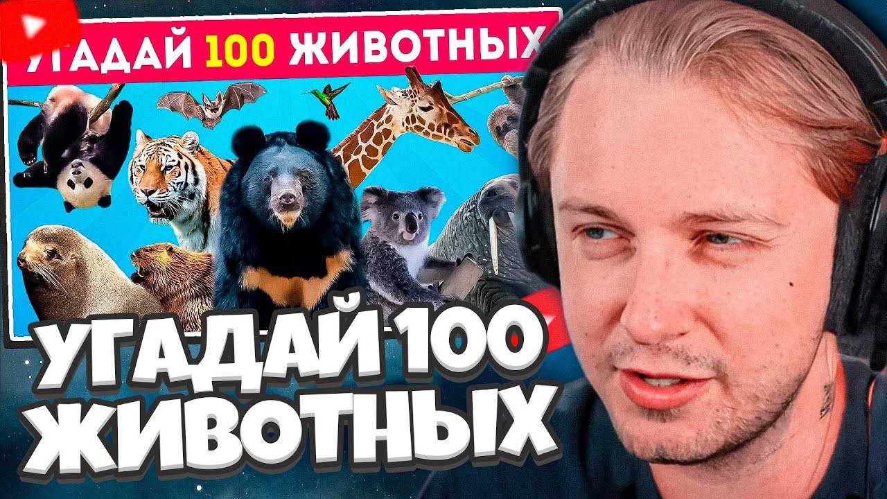 СТИНТ_СМОТРИТ__УГАДАЙ_100_ЖИВОТНЫХ_💯🐄🦥🐘🐅_УГАДАЙ_ЖИВОТНОЕ_ЗА_3_СЕКУНДЫ