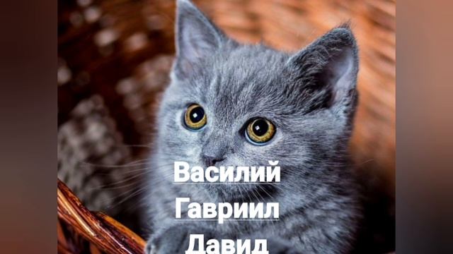 Именины 14 февраля