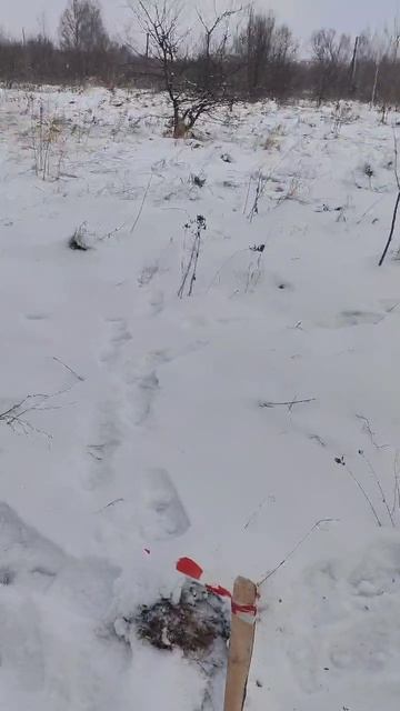 Точка 8