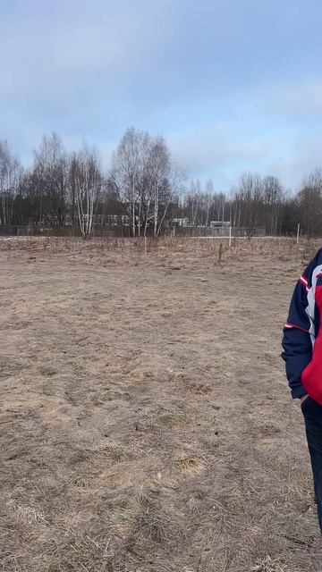 Земельный участок 12 соток в дер. Площево Александровский р-н Владимирской обл.