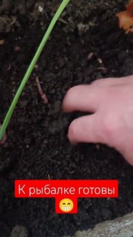 заготовки для рыбалки #зимняяловлярыбы #летняяловлярыбы #рыбалка #черви