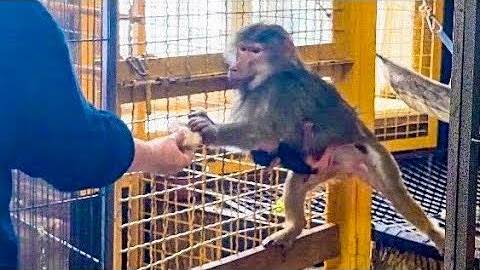 Лида после того как побила Маняшку понимает что ее отсадят и наотрез отказывается выходить