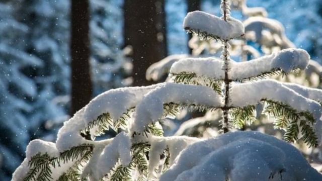 СНЕГ❄️. SNOW. ❄️NIEVE. ⛄