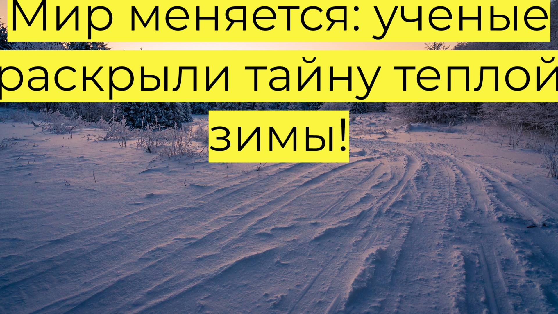 Мир меняется ученые раскрыли тайну теплой зимы!