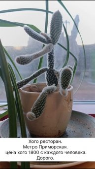 Хого ресторан. Метро Приморская. цена хого 1800 с каждого человека. Дорого.