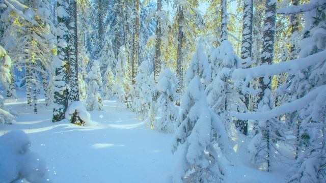 Футаж. Зимний пейзаж 139