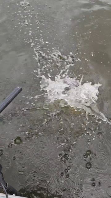 Трофейная рыбалка с гидом Spinningist63 в Самаре
https://bigpike.ru
https://rybalka63.ru
#рыбалка