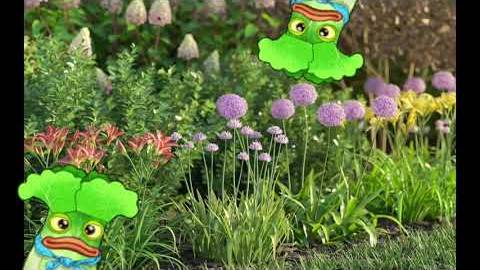 lettuce man