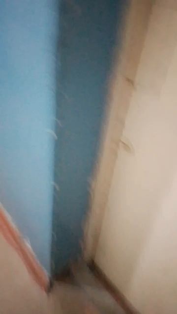 стандофф 2